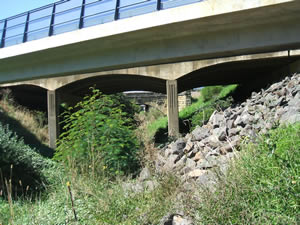 bypass