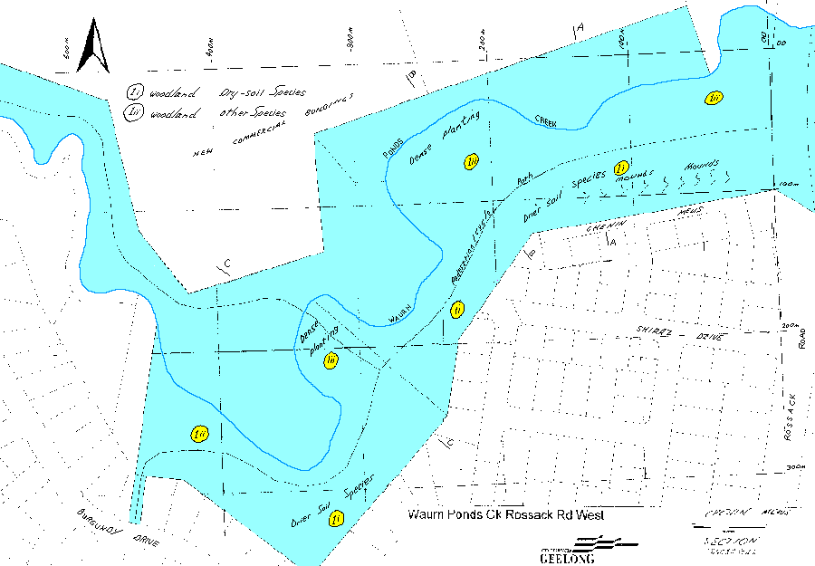 Chenin Mews zone detail
