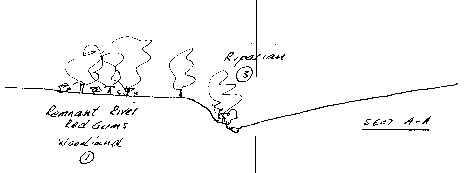 Francis Street zone section AA