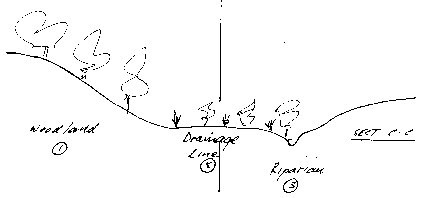 Francis Street zone section CC