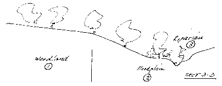 Francis Street zone section DD