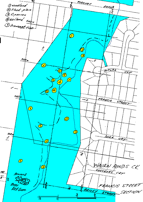 Francis Street zone detail