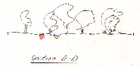 Section D-D